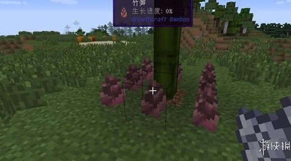 《我的世界》如何正確種植竹子？