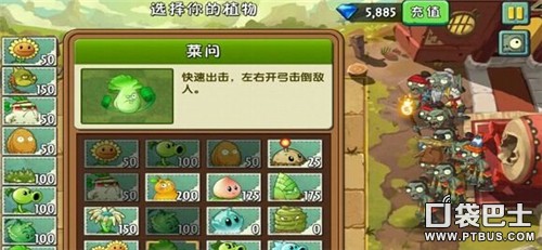 植物大戰殭屍2功夫世界第13天三星通關攻略