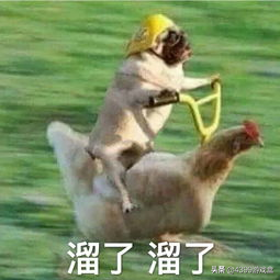 《方舟：生存進化》萌新攻略第八期前期守家必備，抓捕三角龍