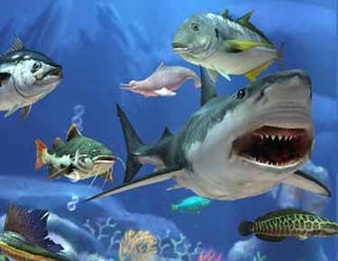 釣魚發燒友更新2.0版本 新增中國釣魚地圖