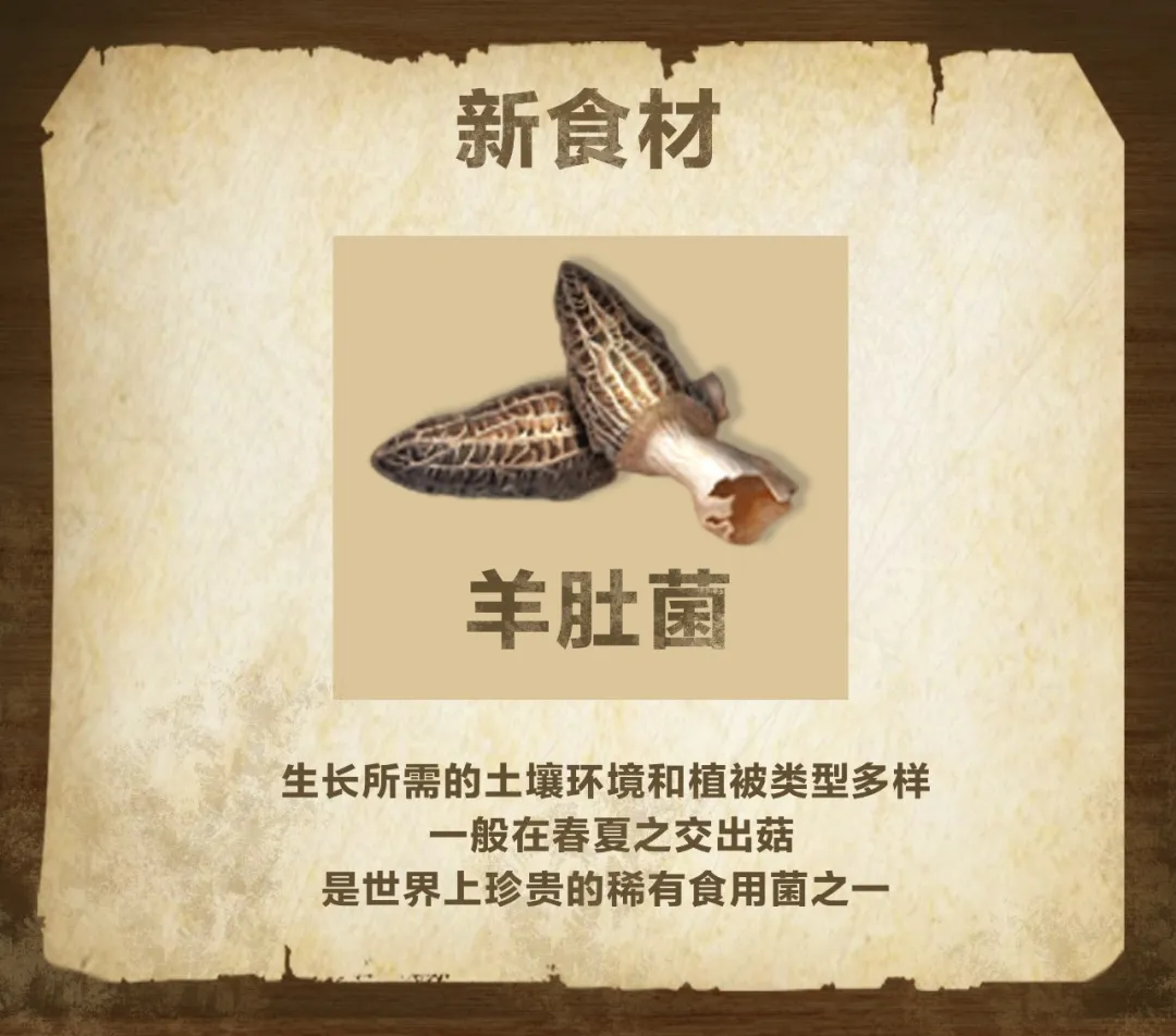 明日之後：全新食材最新食譜，就連鯊魚也能釣到了