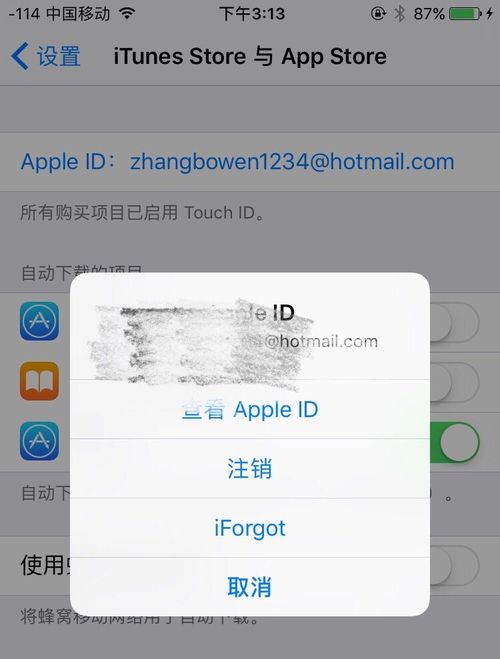 《精靈寶可夢GO》下載教程 一起上街抓皮卡丘