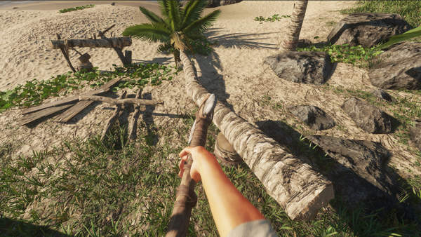 PS4/Xbox One版《荒島求生》發售 苦逼主角流落孤島