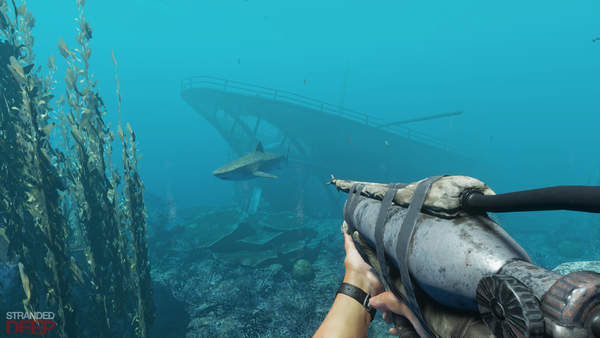PS4/Xbox One版《荒島求生》發售 苦逼主角流落孤島