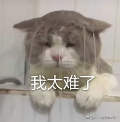 等了三年終於來了！《三國志》手游上線，匡扶漢室還是稱霸天下