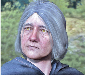 《巫師3：狂獵》凱爾莫罕全員集結