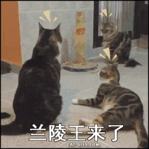 王者榮耀：隱身英雄都有哪些？又有哪些英雄技能可以剋制他們？