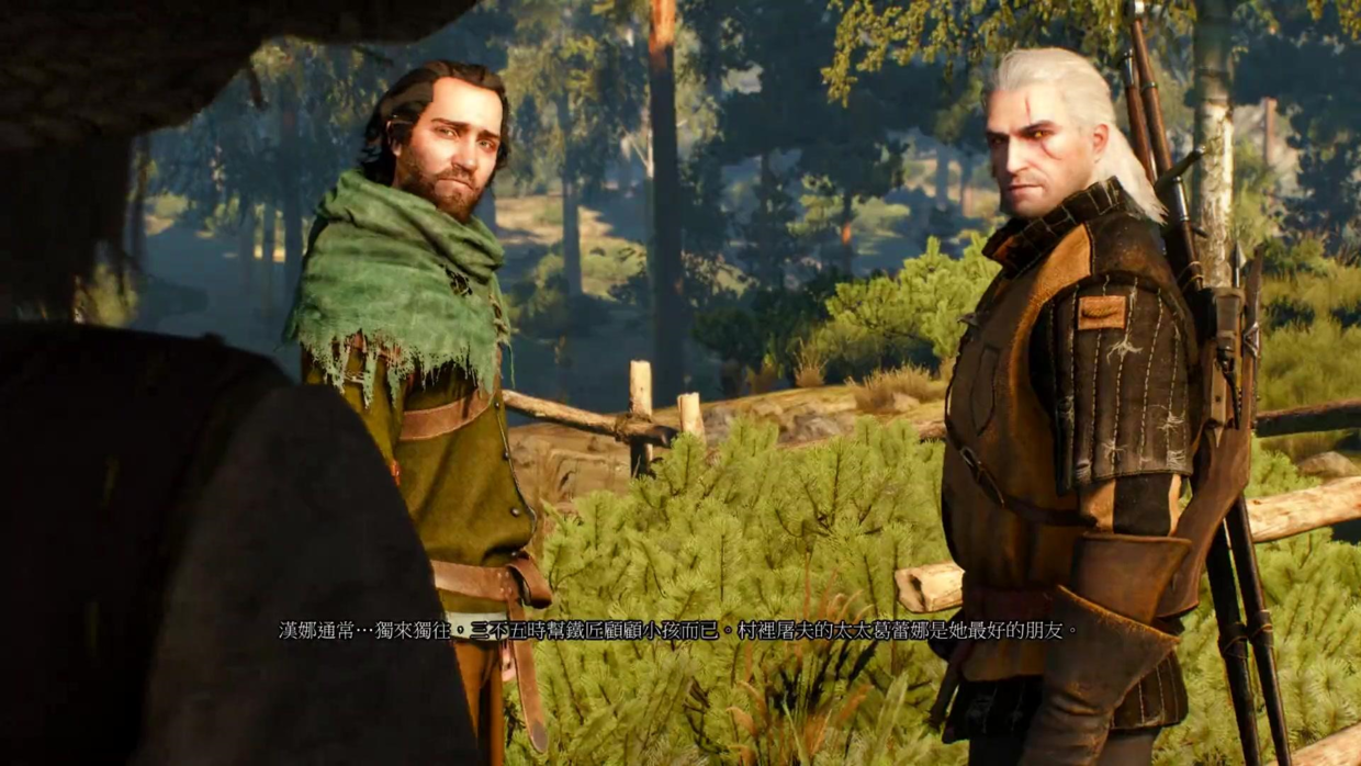 Steam常年打骨折25元，波蘭蠢驢的《巫師3：狂獵》