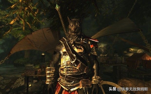 玩《上古捲軸 5》選哪個種族?遊戲中10個種族的詳細設定天賦收藏