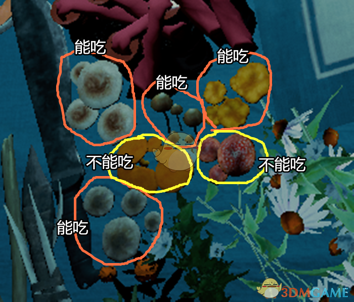 《森林》迷失森林生存指南之——如何獲得食物