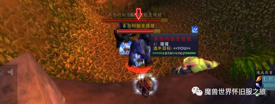 魔獸懷舊服剝皮：原地量產重皮和厚皮方法與測試，荊棘谷的小秘密