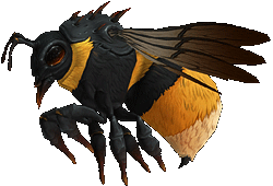魔獸世界：8.0獵人寵物信息大全