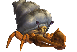 魔獸世界：8.0獵人寵物信息大全