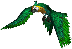 魔獸世界：8.0獵人寵物信息大全