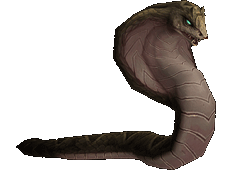 魔獸世界：8.0獵人寵物信息大全