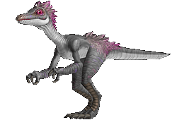 魔獸世界：8.0獵人寵物信息大全