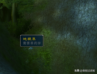 魔獸世界懷舊服：雙采技能組合之草藥學指南