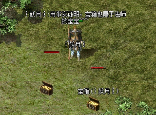 熱血傳奇：法師喜愛的8種寶寶，虎衛排第一，沒想到，第7竟是它