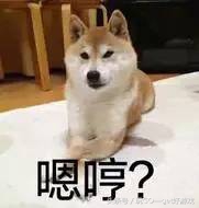 《地下城堡2》在末世中求生 四肢既要發達頭腦還要不簡單