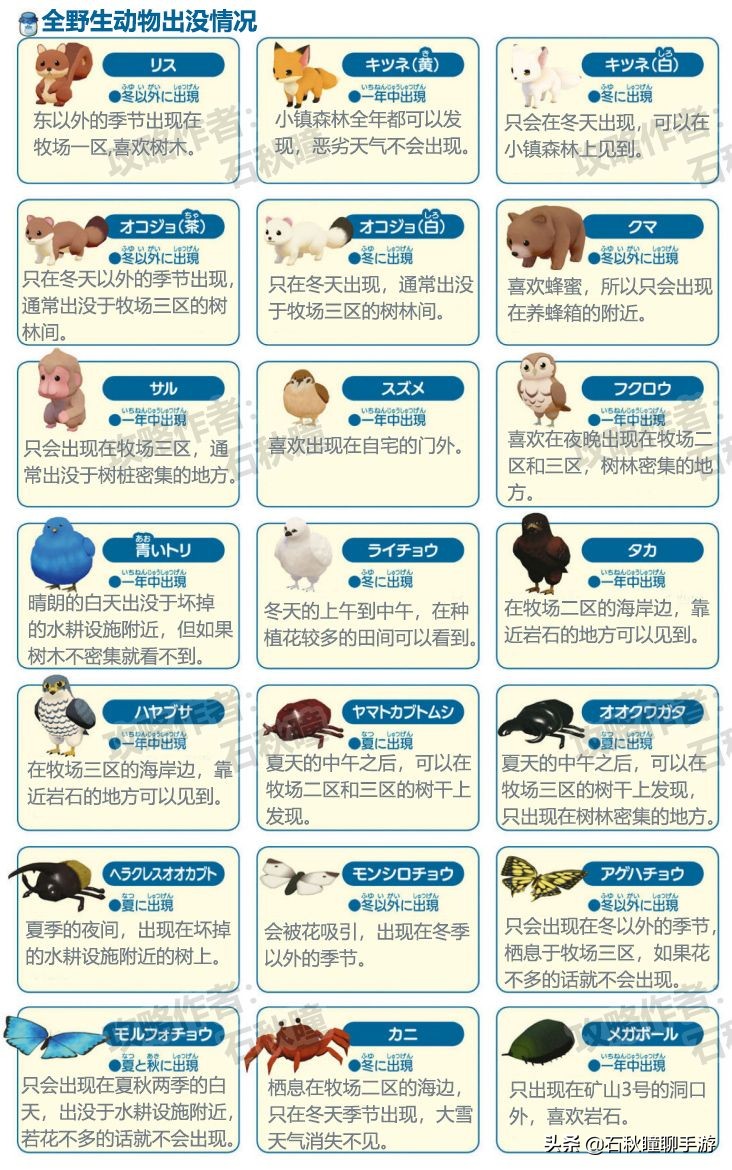 《牧場物語 橄欖鎮》第一年秋攻略：最強賺錢法/尋找野生動物