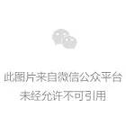 神仙道：培養升級小竅門，新手基礎攻略必看，