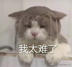 奧拉星：75以前全套攻略，萌新必備，一起和彎路說再見