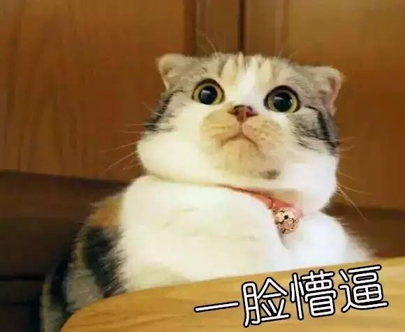 九陰真經里竟然可以綁架玩家，賣去酒樓、黑市，還能賣到那裡去！