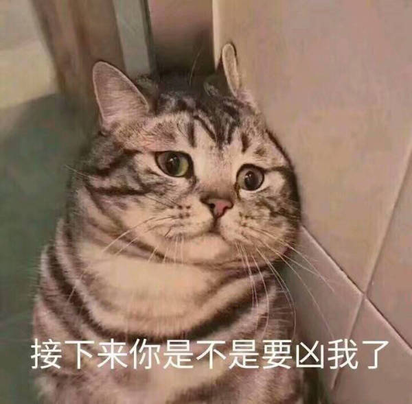 九陰真經里竟然可以綁架玩家，賣去酒樓、黑市，還能賣到那裡去！