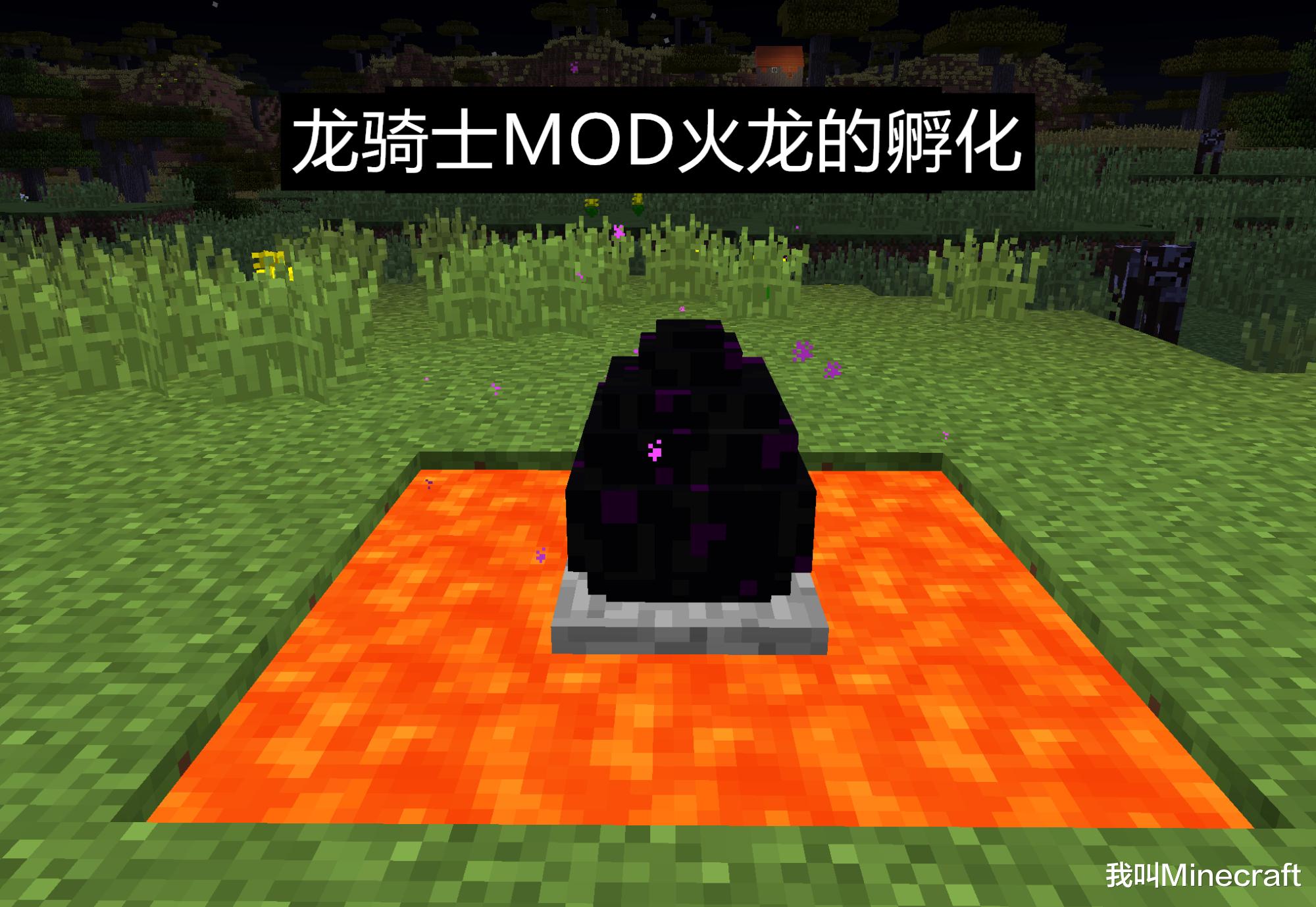 《我的世界》龍蛋怎麼孵化？老mc這個答案，我是萬萬沒想到的