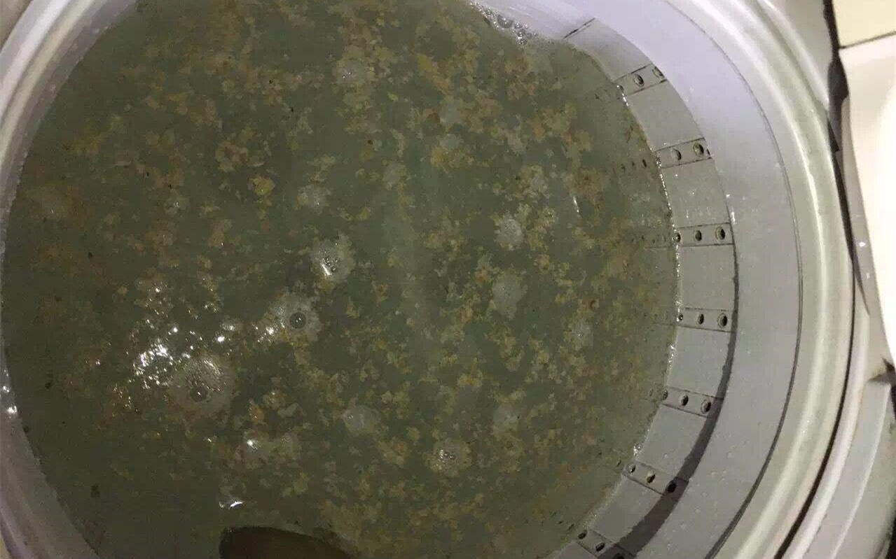 洗衣機3個月不清潔，衣服越洗越臟，一碗水徹底清潔洗衣機