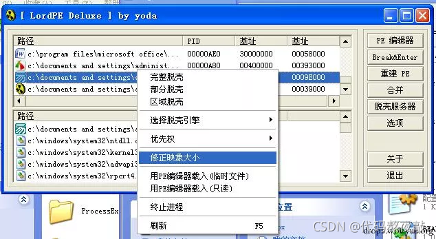 逆向基礎：軟件手動脫殼技術入門