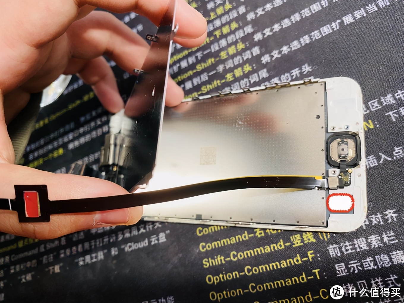 蘋果iPhone手機Home鍵失靈不要扔，10塊錢就能修好